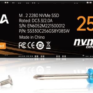 EDILOCA EN605 256GB M.2 SSD NVMe1.3
